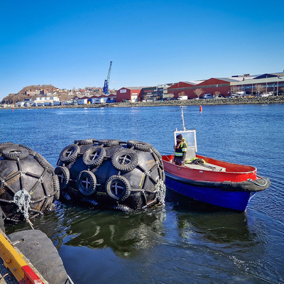 Hoher Haltbarkeits-Dock-Gummipuffer-hohe Kompression Marine Protection